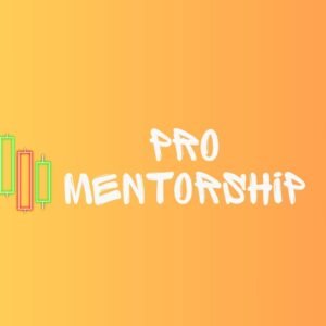 Pro Mentorship